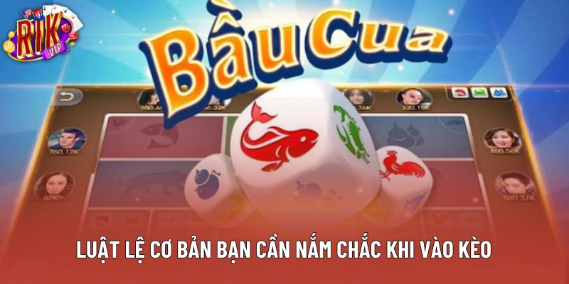 Luật lệ cơ bản bạn cần nắm chắc khi vào kèo Luật lệ cơ bản bạn cần nắm chắc khi vào kèo