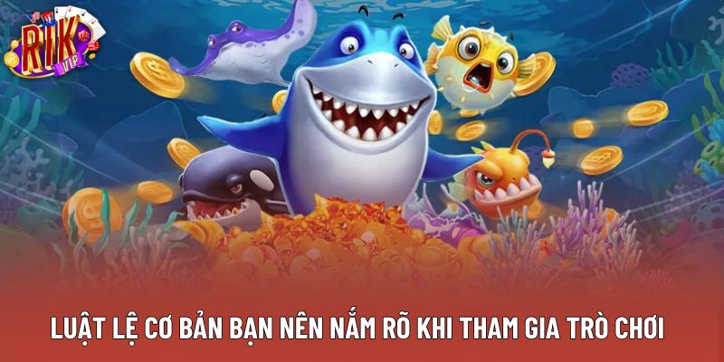 Luật lệ cơ bản bạn nên nắm rõ khi tham gia trò chơi Luật lệ cơ bản bạn nên nắm rõ khi tham gia trò chơi