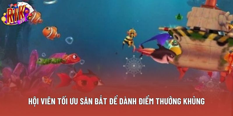 Hội viên tối ưu săn bắt để dành điểm thưởng khủng Hội viên tối ưu săn bắt để dành điểm thưởng khủng