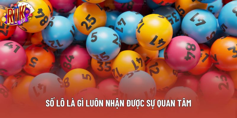 Số lô là gì luôn nhận được sự quan tâm Số lô là gì luôn nhận được sự quan tâm